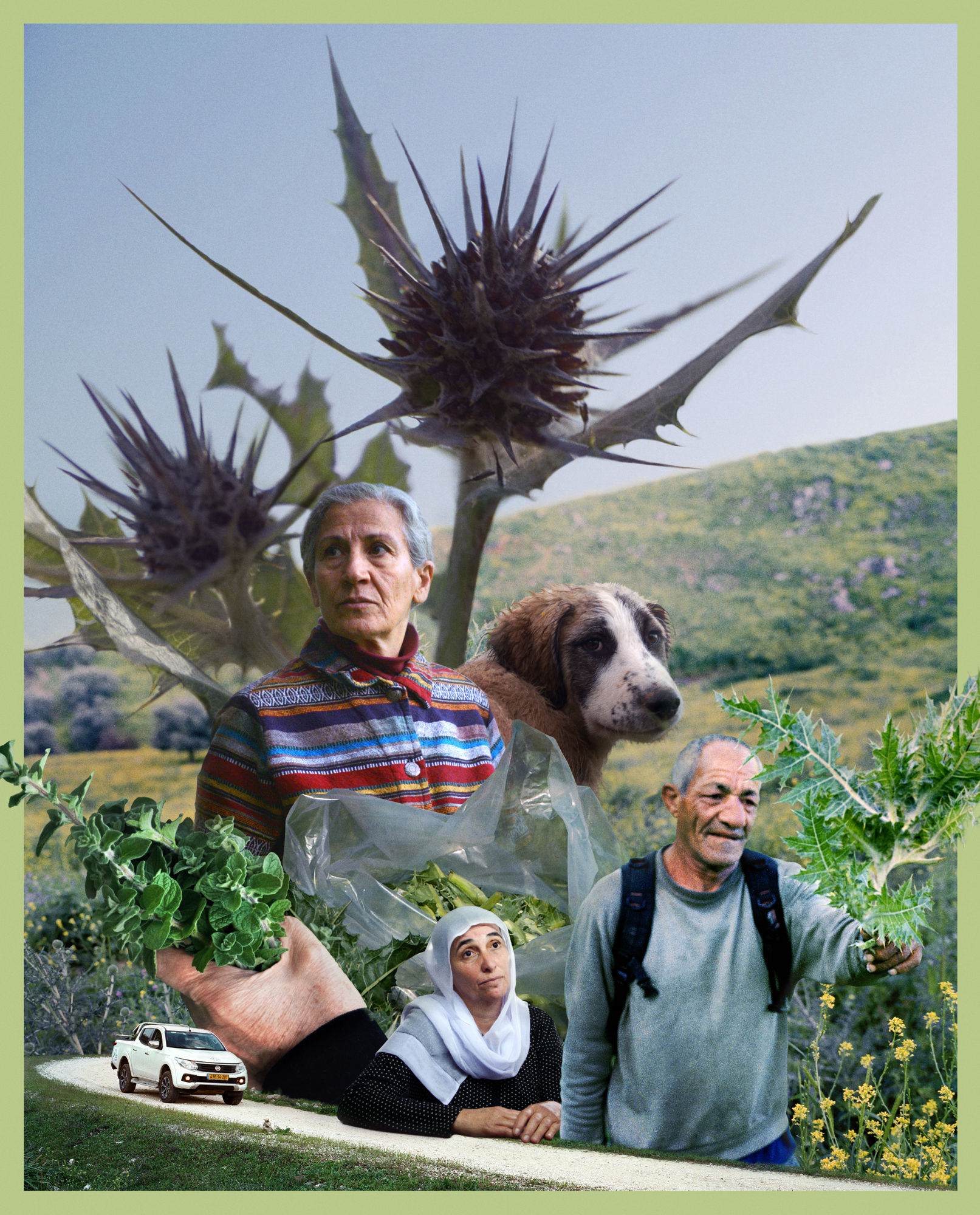 Foragers, a film by Jumana Manna